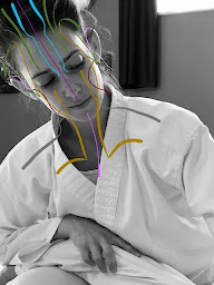 Photo n°3 de Shiatsu Lyon - Sabine Rivière à Lyon (Programme de bien-être)