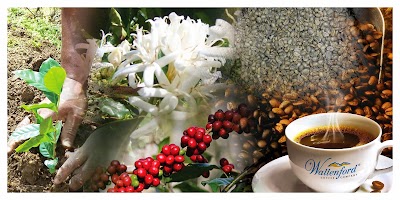 Photos of Wallenford Coffee Company