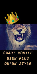 Photo n°20 de Smart Mobile à Mouans-Sartoux (Magasin de jouets)