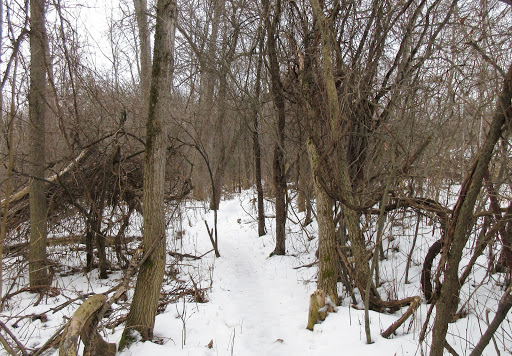 Millar Side Trail - Visual