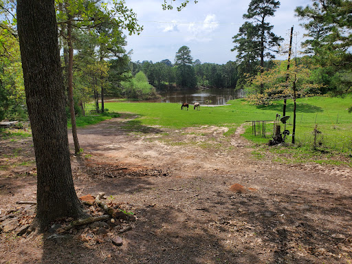 Pine Mills Ranch - Visual