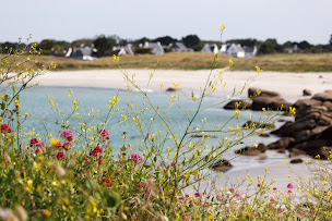 Photo n°19 de Esprit Immobilier à Trégunc (Agence immobilière)