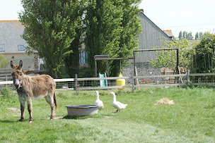 Photo n°20 de Gîtes l'hébergement à Cherrueix (Vacances à la ferme)