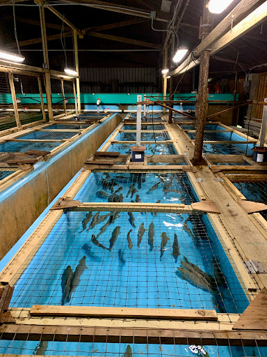 Catskill Fish Hatchery - NYS DEC
