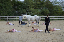 Les Poneys Mômes d' Hélène à Gironde-sur-Dropt