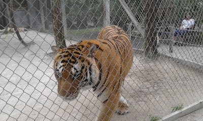 Photos of McCarthys Wildlife Sanctuary