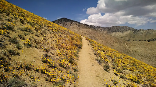 Walker Pass Campground - Thumbnail