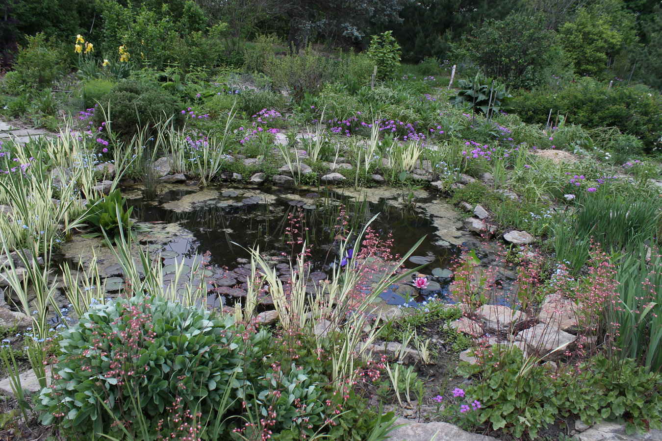 The Whiteside Garden