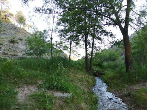 Nacimiento del Río Darro - Thumbnail