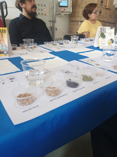 Mo Brewing - Visual