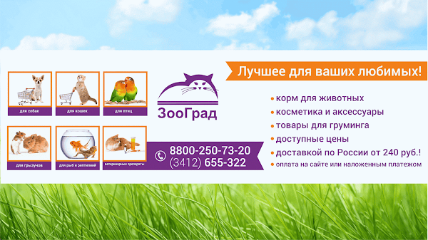 Зооград Ижевск Интернет Магазин