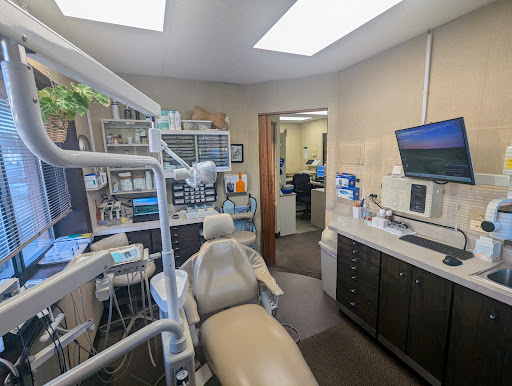 The Dental Collective