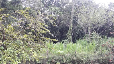 Photos of Wolfsong Cabins