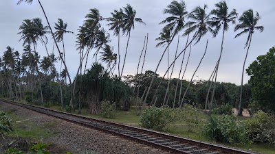 Photos of Paradise Road The Villa Bentota