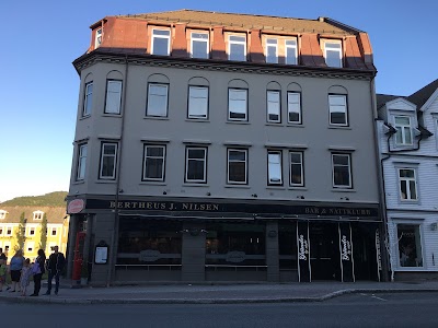 Photos of Gr&uuml;nder Harstad