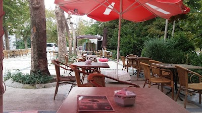 Photos of Taksim Gezi Park