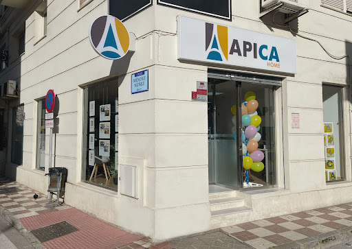 Apica Home La Línea