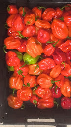 Photo n°23 de JP Piments à Saint-Quentin-la-Tour (Épicerie)