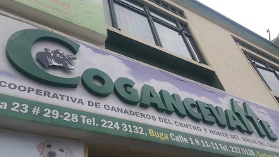 Photos of COGANCEVALLE