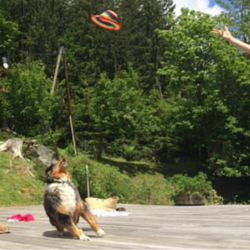 Photo n°7 de Antoine Immobilier à Chamonix-Mont-Blanc (Consultant immobilier)