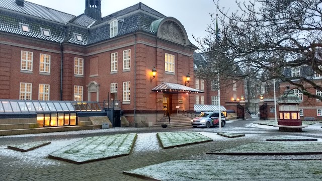 Hotel Koldingfjord