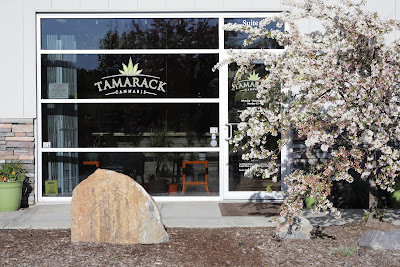 Photo of Tamarack Cannabis - Best Dispensary Kalispell