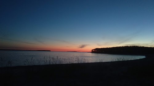 Pedassaare loodusrada