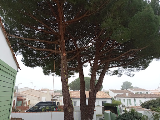 Photo de Arboré Passion à Saint-Pardoux (79310)