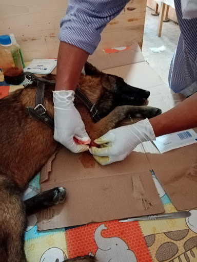 Veterinaria Gomez