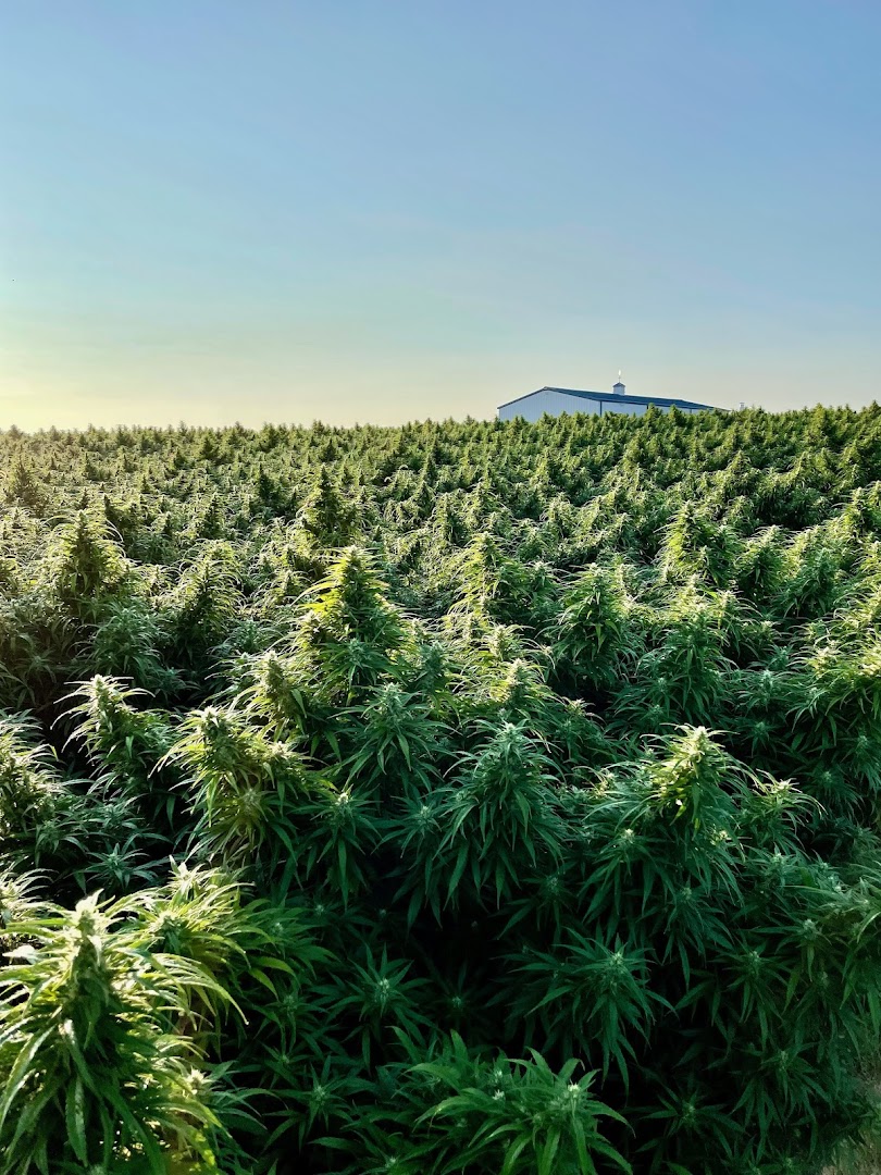 Goodland Extracts LLC Wisconsin Hemp Processing photo 4
