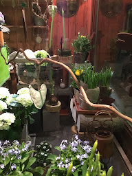 Photo n°6 de Végétal Fleuriste à Montbonnot-Saint-Martin (Fleuriste)