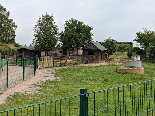 Güterglück Zoo - Thumbnail