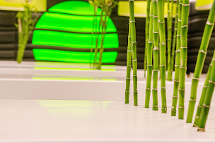 Photo n°14 de TRAN à Rennes (Restaurant thaï)