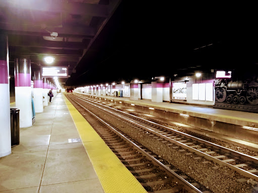 Back Bay - Visual