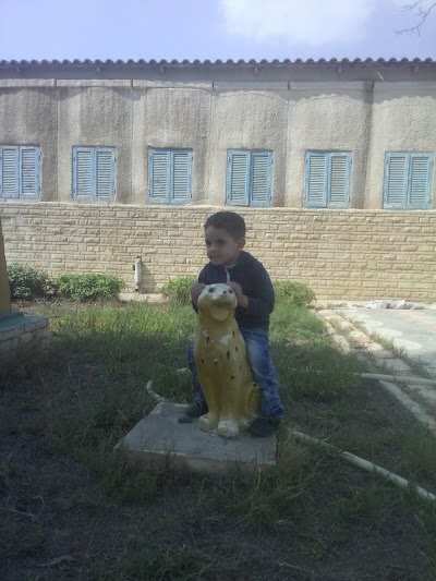 Photos of Sheikh Zayed youth hostel
