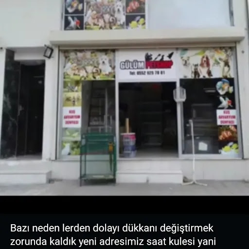 Gülüm petshop | Midyat Mardin - Evcil hayvan mağazası