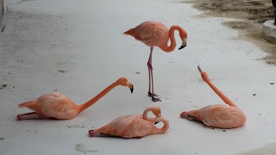 Photos of IberoStar, Puerto Plata