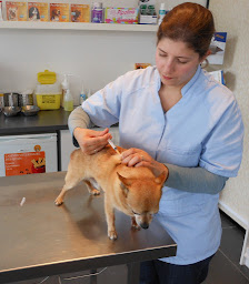 Photo n°5 de Cabinet vétérinaire des Quais à Lille (Vétérinaire)