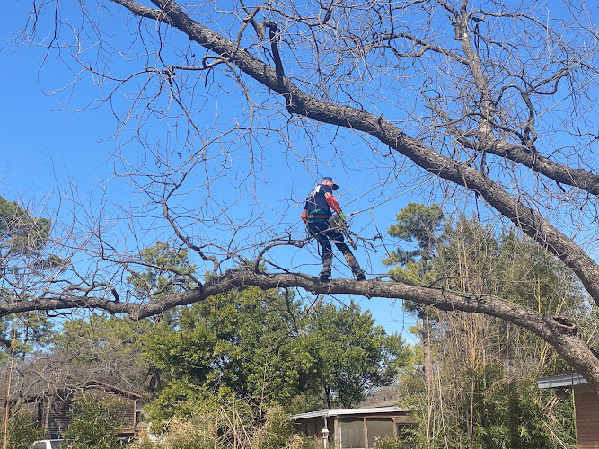 Remy Tree Service