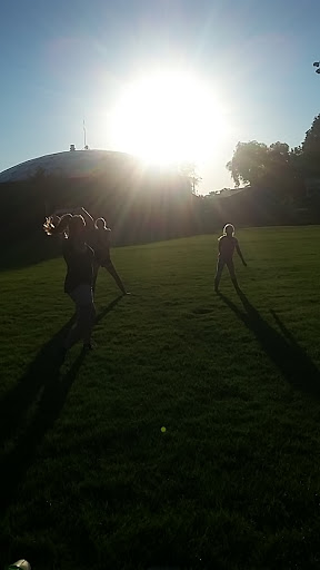 Hereth Field - Visual