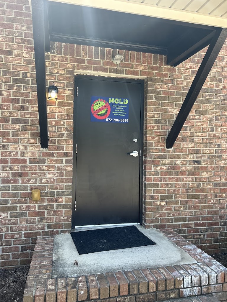 Mold Busters Columbia photo