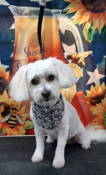 Cher's Pawlished Pets