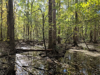 Adkins Arboretum