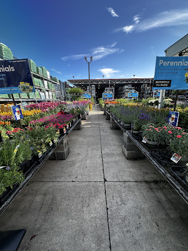 Livingston Commons Shopping Center - Thumbnail