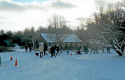Photos of Pioneer Tree Farm