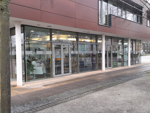 Café Mitte - Visual