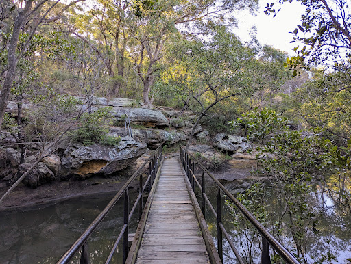 Lane Cove Mangrove Walkway - Thumbnail