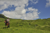 Centre Equestre CantaL' EquiLibre à Lascelles