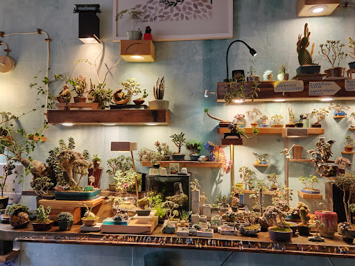 Tiny Trees - Visual