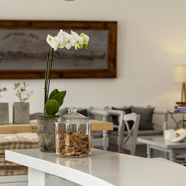 Argonauta Hotel by null